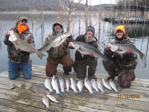 Nice Striped Bass